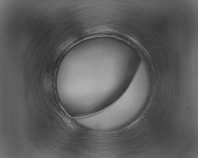 X0000052960873200507080853
