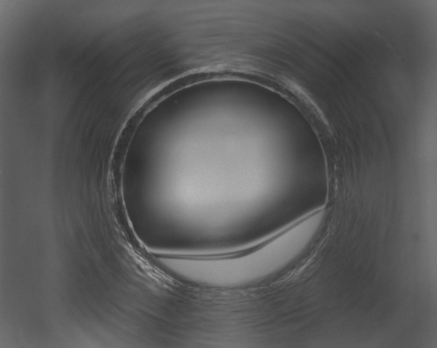 X0000052960876200507080853