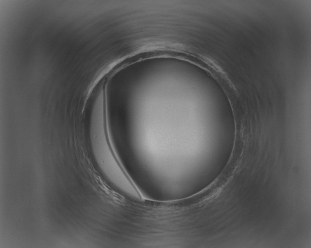 X0000052960877200507080853