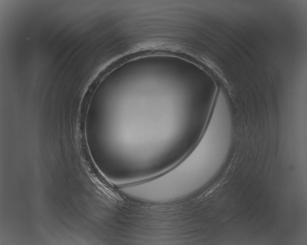 X0000052960880200507080853