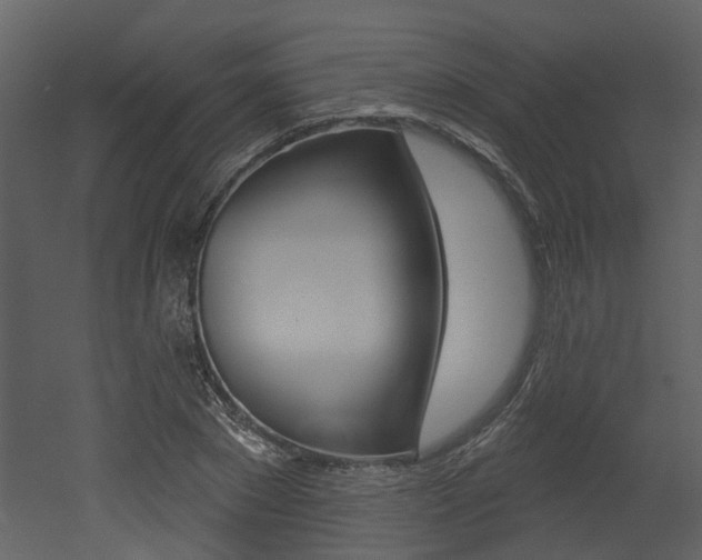 X0000052960881200507080853