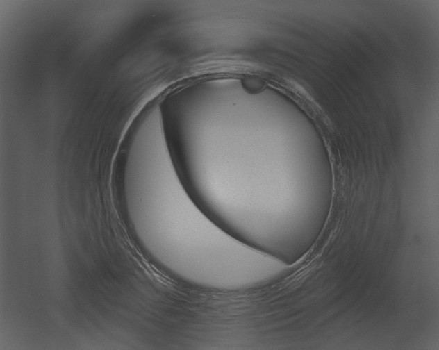 X0000052960883200507080853