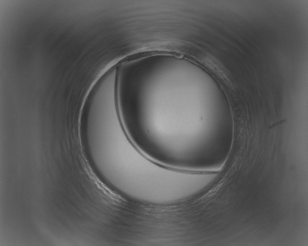X0000052960884200507080853