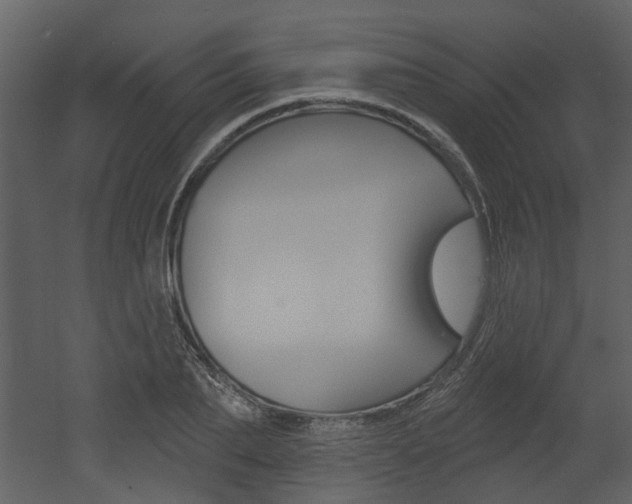 X0000052960887200507080853