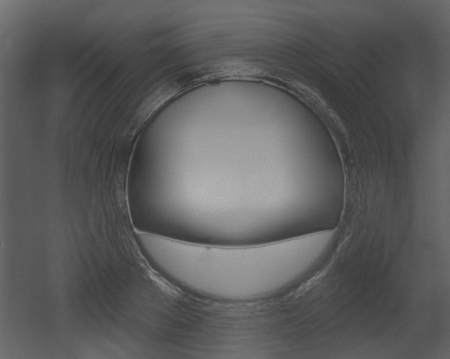 X0000052960889200507080853