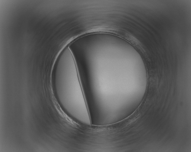 X0000052960892200507080853