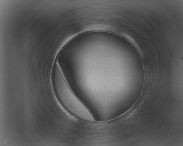 X0000052960901200507080853