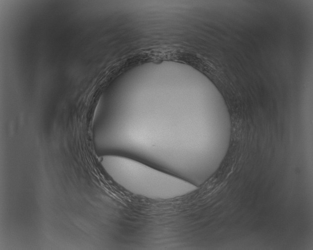 X0000052960913200507080852