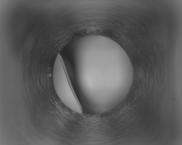 X0000052960914200507080852
