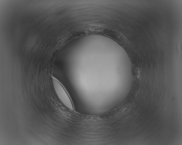 X0000052960915200507080852