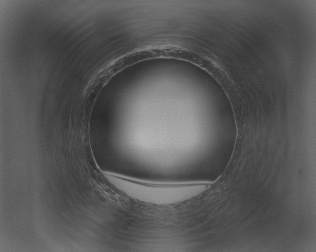 X0000052960920200507080852