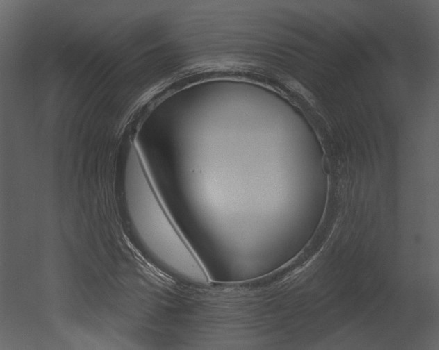 X0000052960922200507080852