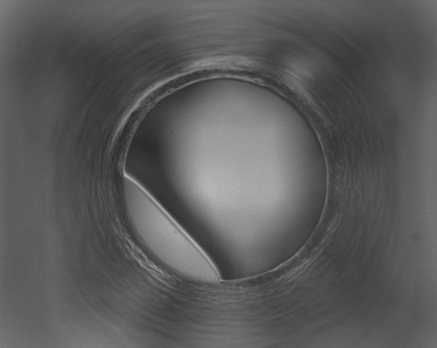 X0000052960923200507080852