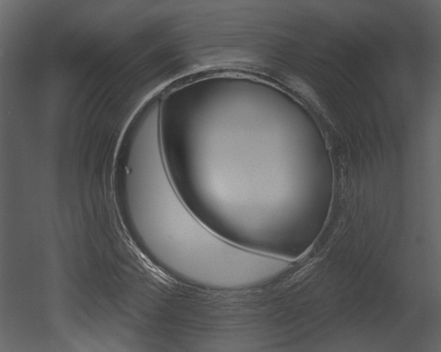 X0000052960924200507080852