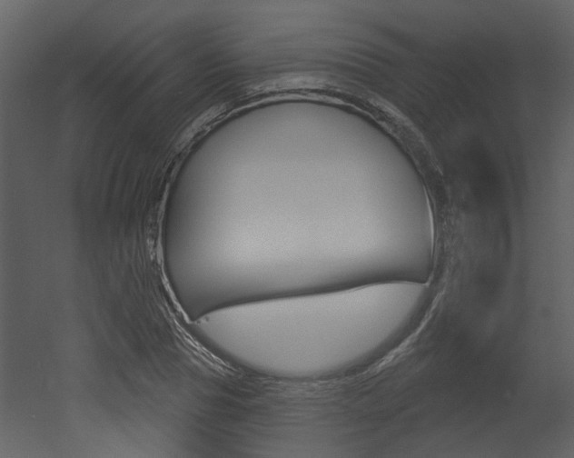 X0000052960929200507080852