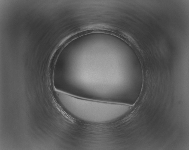 X0000052960931200507080852