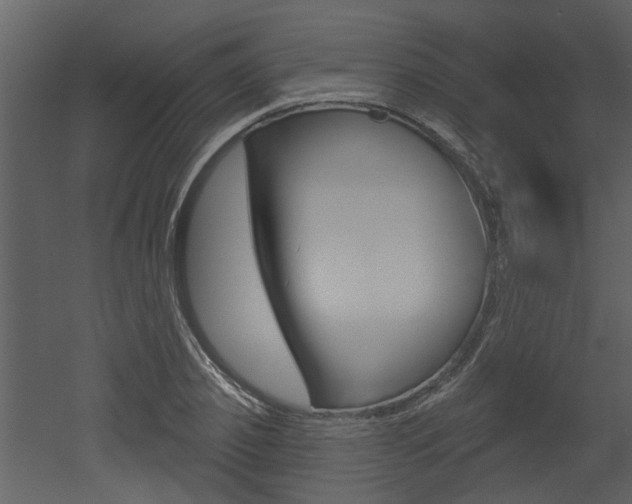 X0000052960933200507080852