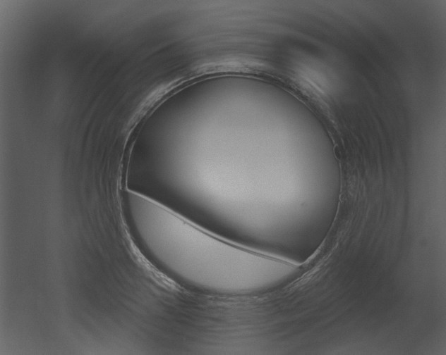 X0000052960938200507080852