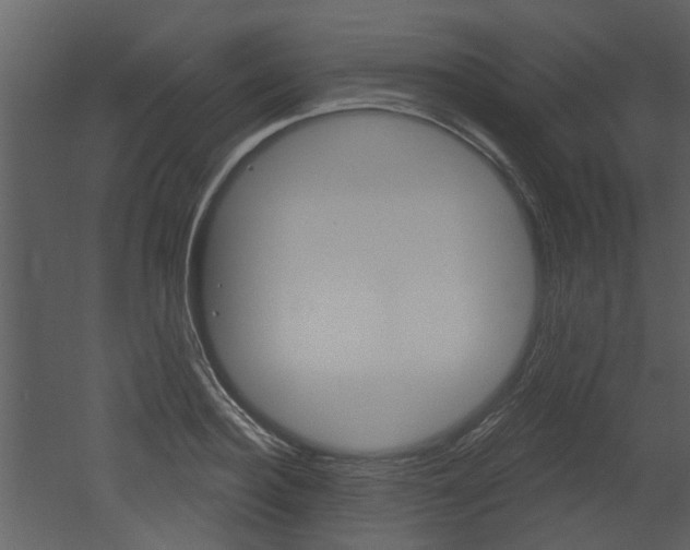 X0000052960940200507080852