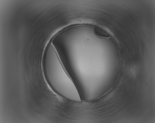 X0000052960943200507080852