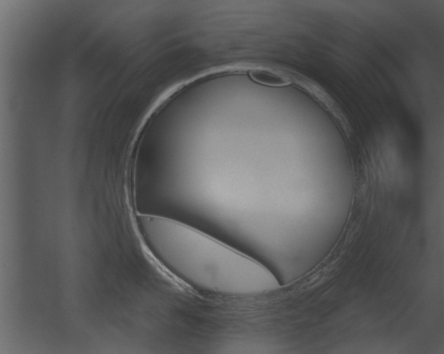 X0000052960958200507080852