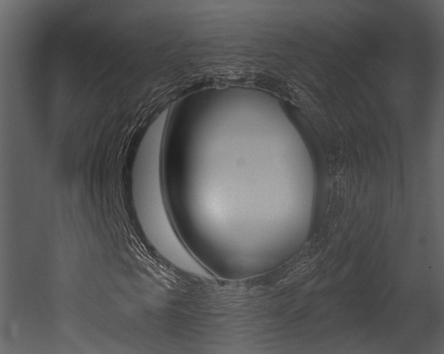 X0000052960961200507080852