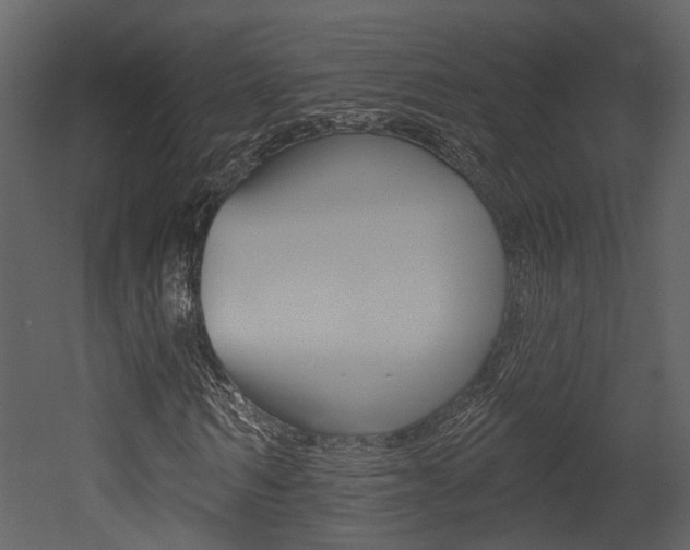 X0000052960962200507080852