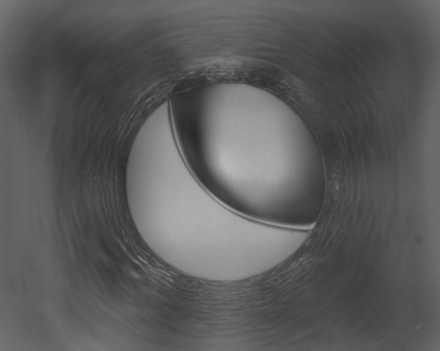 X0000052960964200507080852