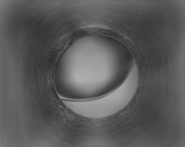 X0000052960965200507080852