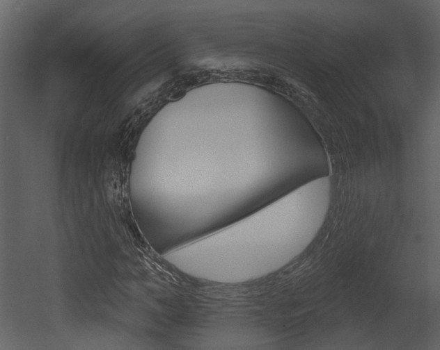 X0000052960966200507080852