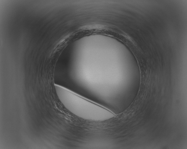 X0000052960967200507080851
