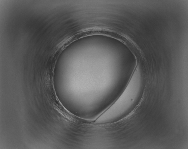 X0000052960969200507080851