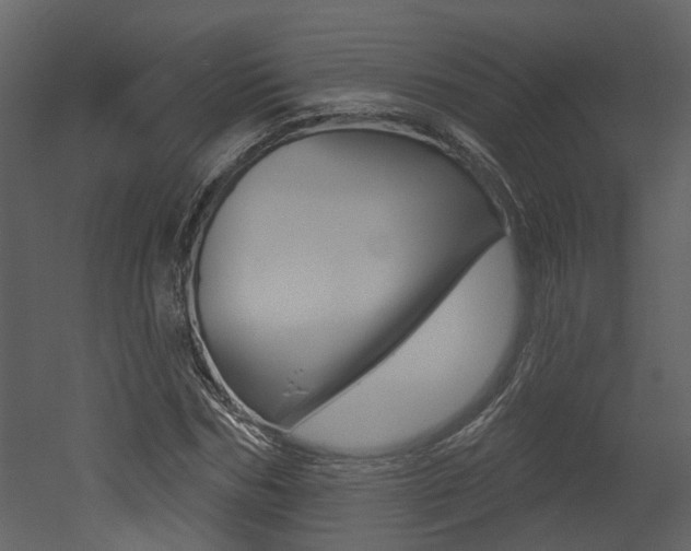 X0000052960970200507080851