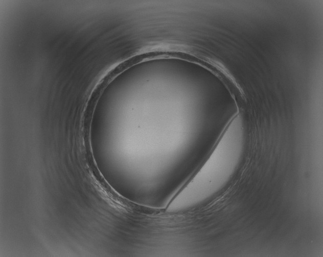 X0000052960972200507080851