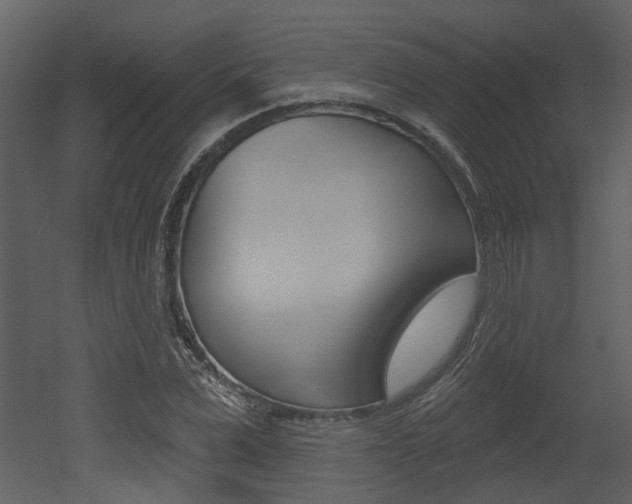 X0000052960975200507080851