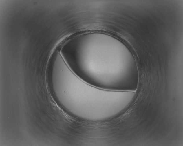 X0000052960979200507080851