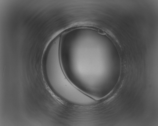 X0000052960981200507080851