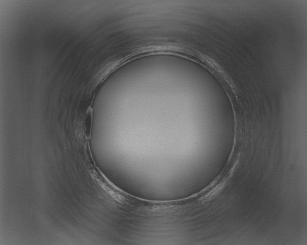 X0000052960985200507080851