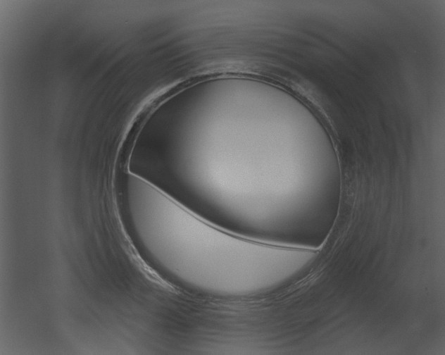 X0000052960987200507080851