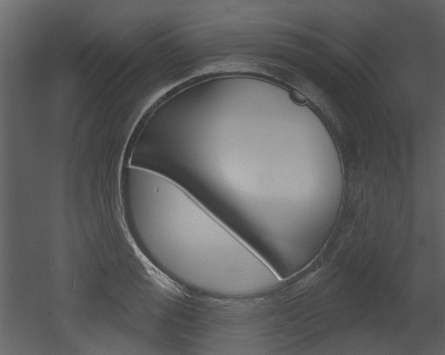 X0000052960988200507080851