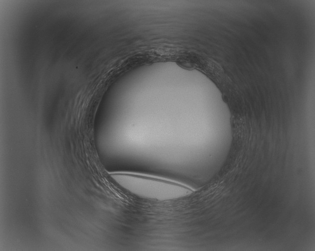 X0000052961009200507080850