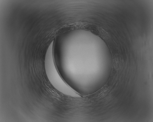 X0000052961010200507080850