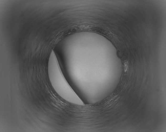 X0000052961011200507080850