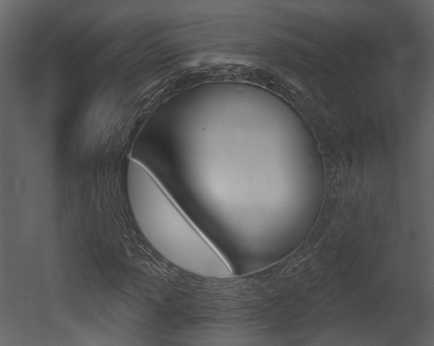 X0000052961013200507080850