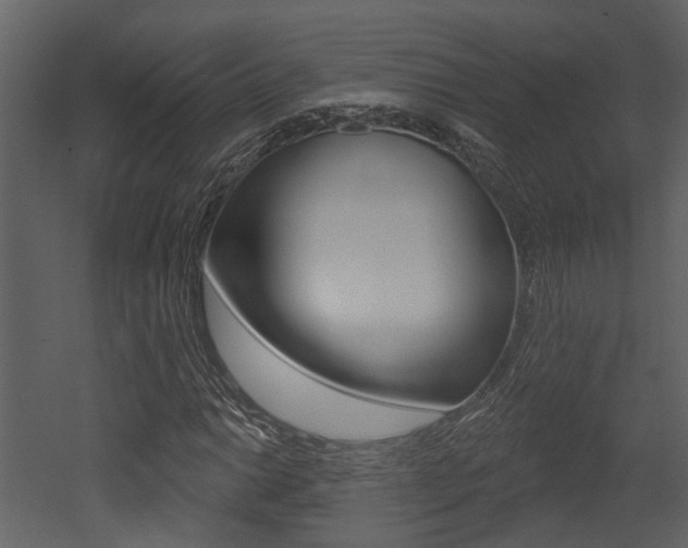 X0000052961014200507080850