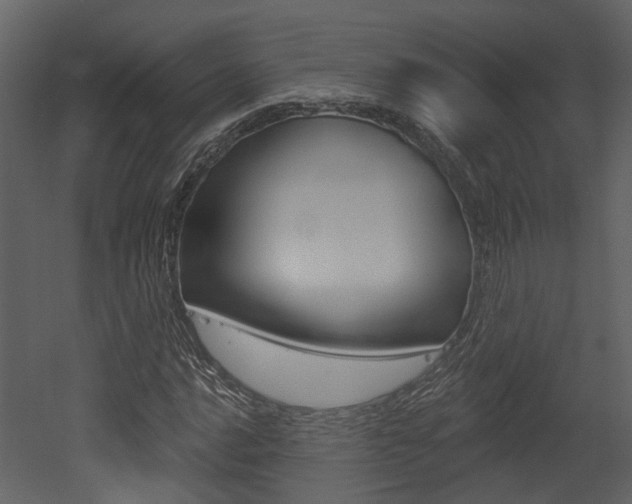 X0000052961016200507080850
