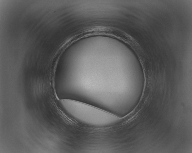 X0000052961017200507080850