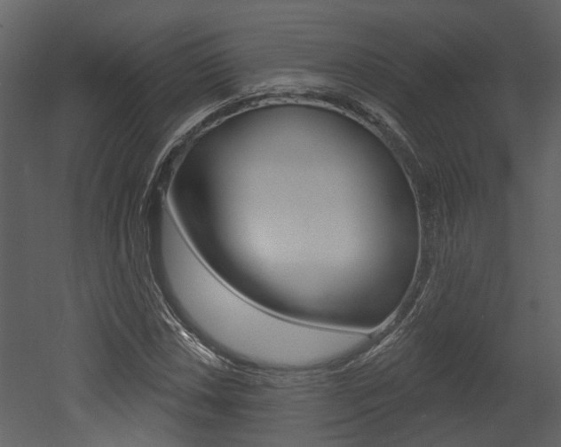 X0000052961018200507080850