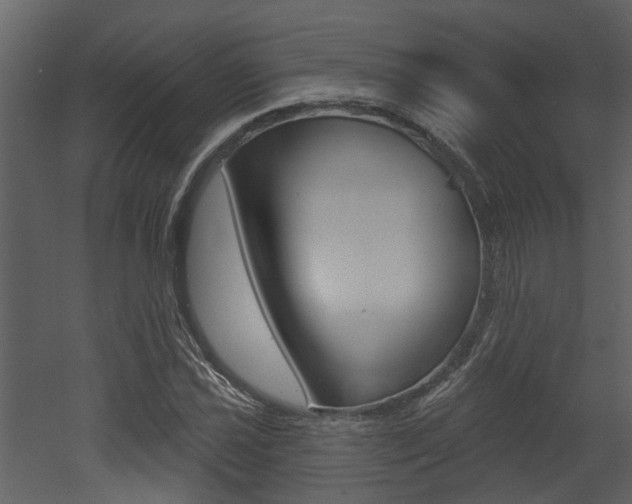 X0000052961021200507080850