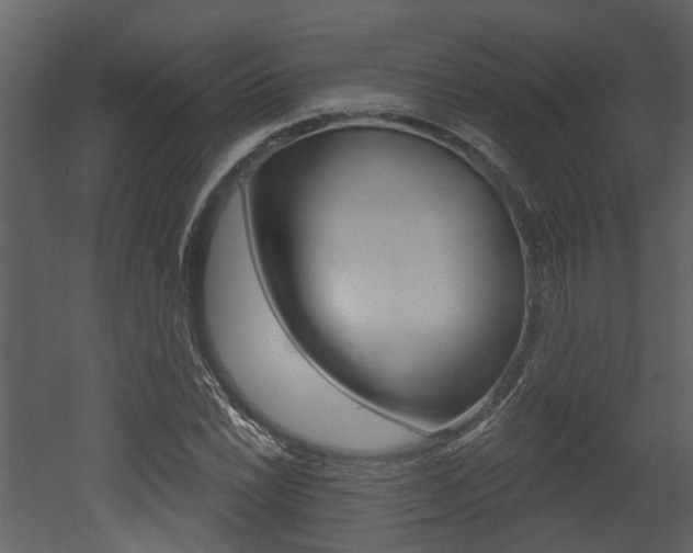 X0000052961022200507080850